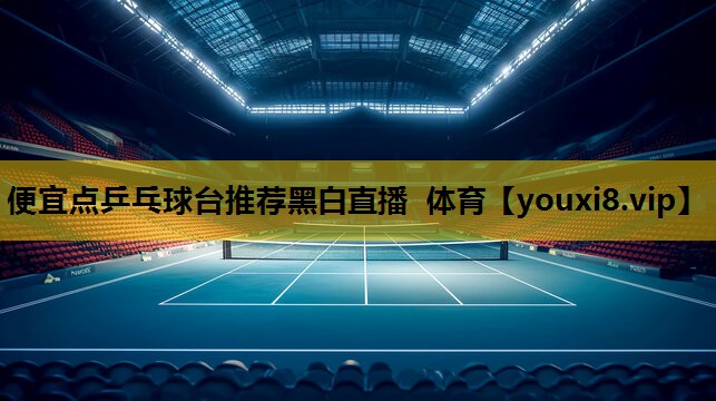 便宜点乒乓球台推荐黑白直播 体育