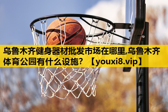 乌鲁木齐健身器材批发市场在哪里,乌鲁木齐体育公园有什么设施？
