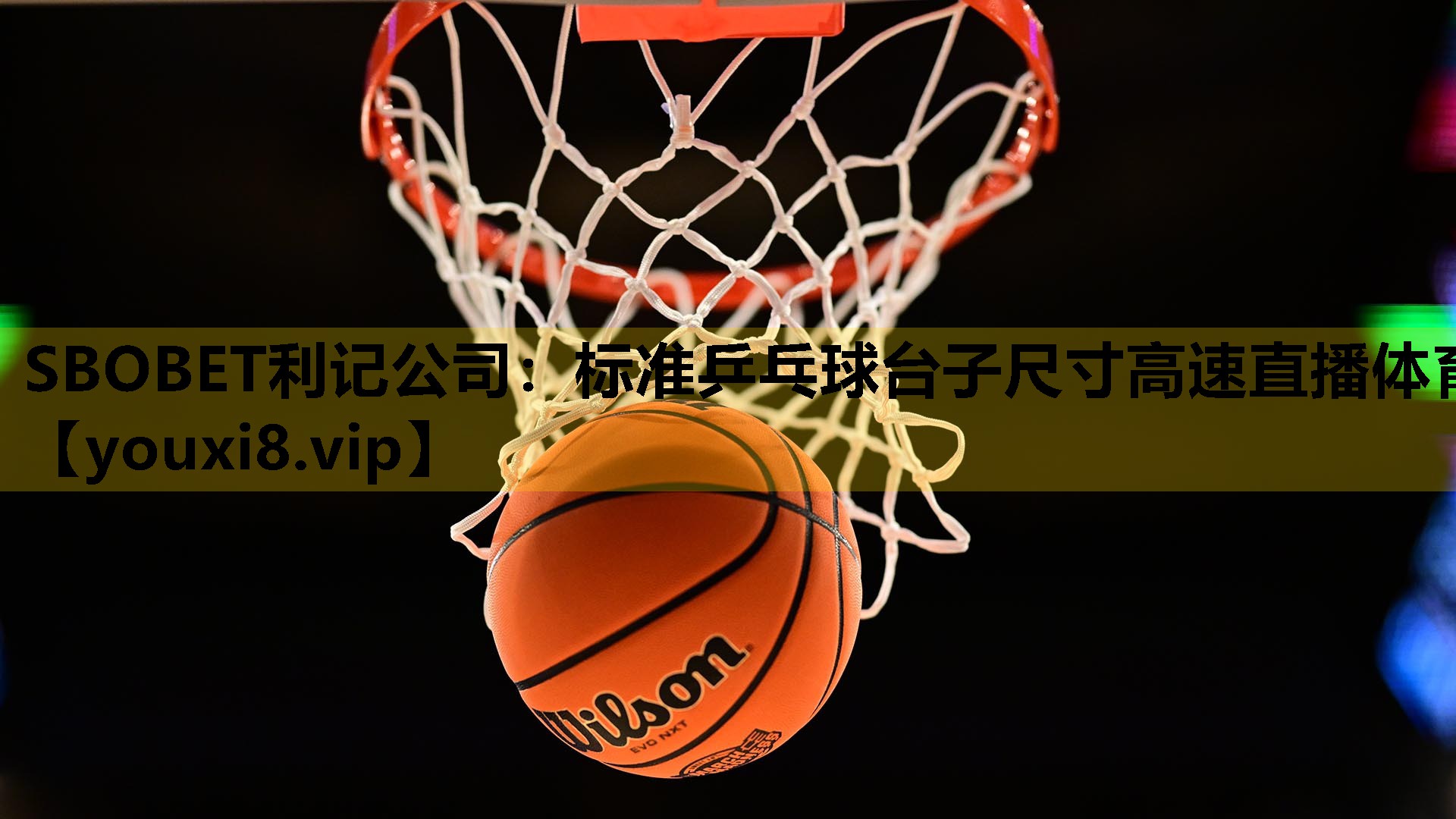 SBOBET利记公司：标准乒乓球台子尺寸高速直播体育