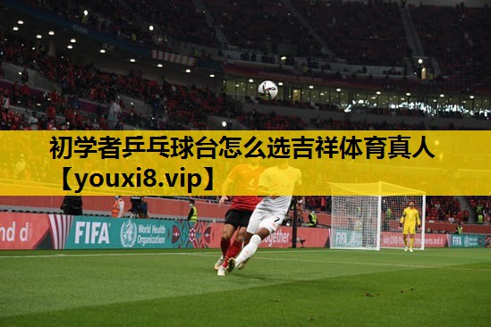 初学者乒乓球台怎么选吉祥体育真人