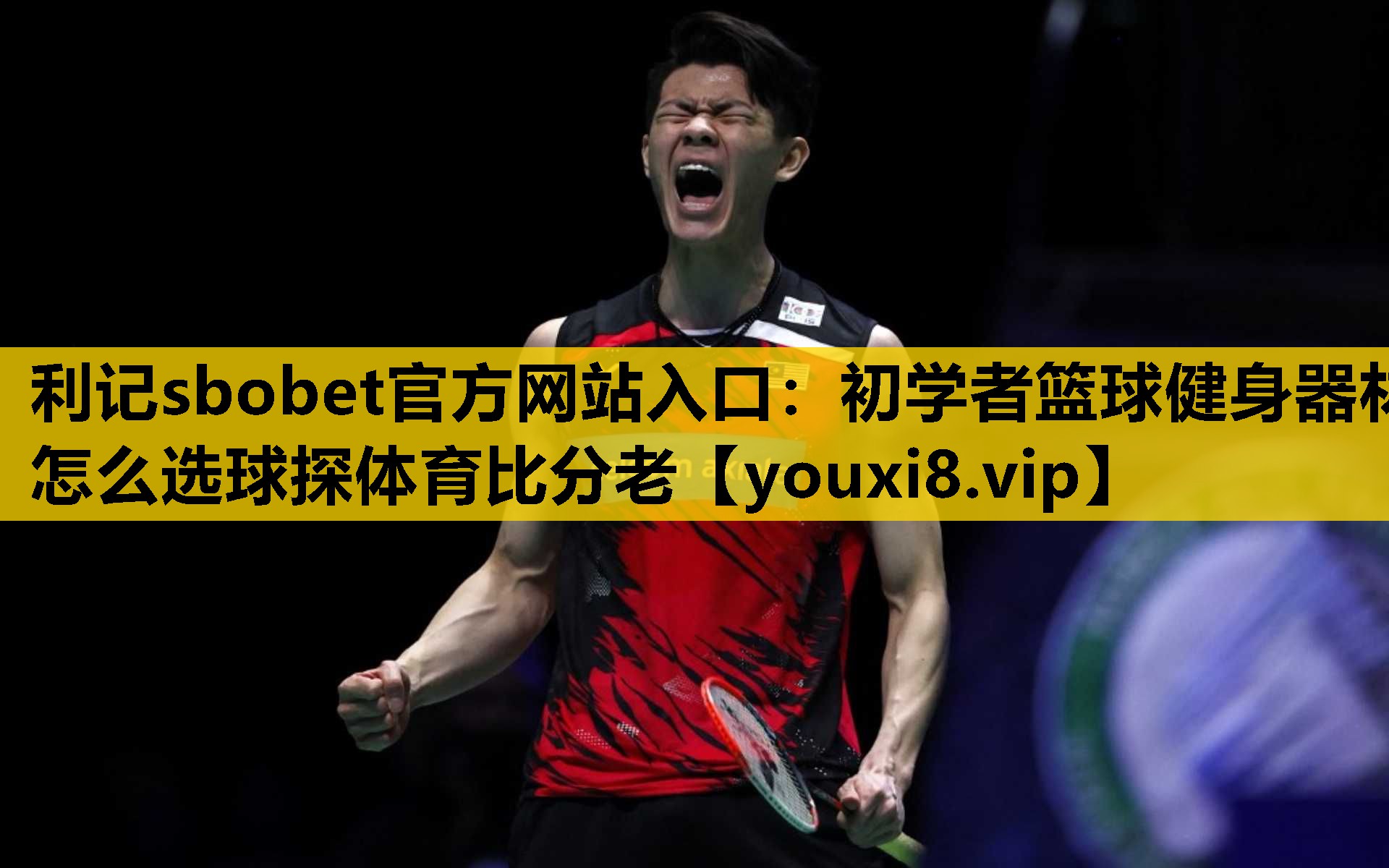 利记sbobet官方网站入口：初学者篮球健身器材怎么选球探体育比分老