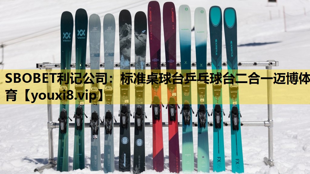 SBOBET利记公司：标准桌球台乒乓球台二合一迈博体育