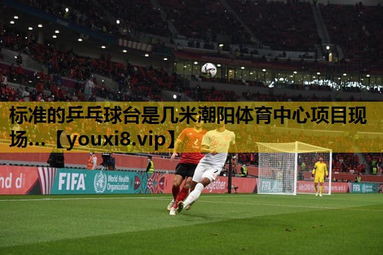 标准的乒乓球台是几米潮阳体育中心项目现场…
