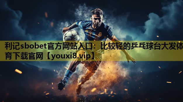 利记sbobet官方网站入口：比较轻的乒乓球台大发体育下载官网
