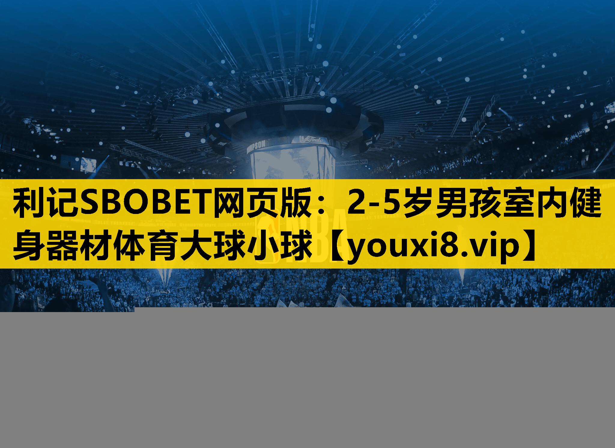 利记SBOBET网页版：2-5岁男孩室内健身器材体育大球小球